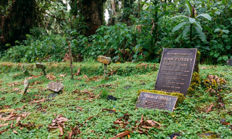 Dian Fossey