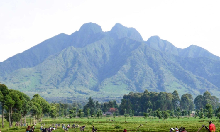 Mount Sabyinyo