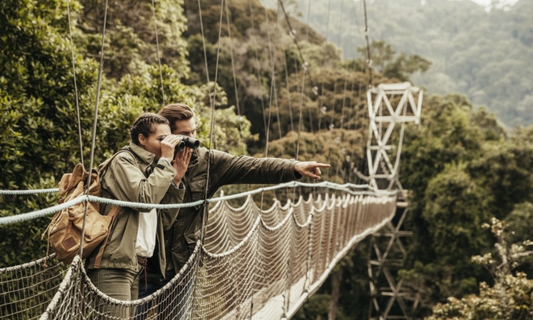 Nyungwe Forest Canopy Walk