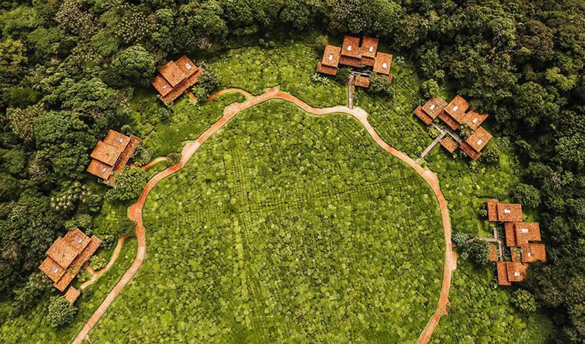 One & Only Nyungwe House