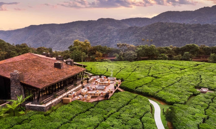 Top Luxury Safari Lodges in Nyungwe Forest National Park, Rwanda