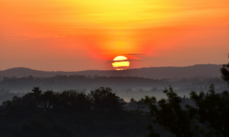 12 Days Rwanda Safari: Gorillas, Wildlife, and Cultural Adventures
