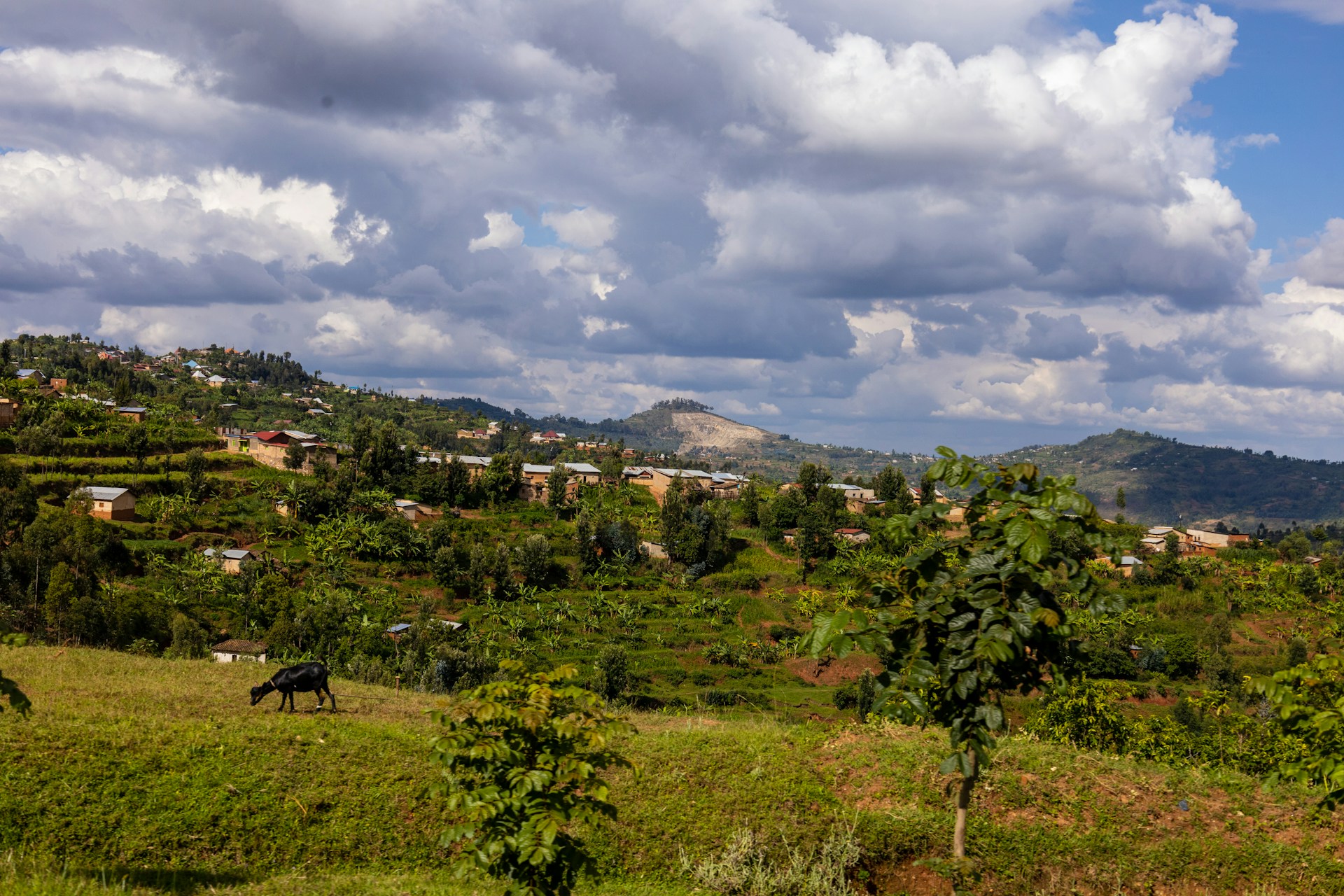 History of Rwanda | Kingdoms, Colonial Rule & Independence