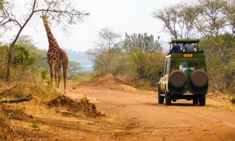 Day & Night Game Drives in Rwanda – Wildlife Viewing in Akagera National Park
