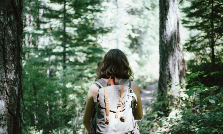 Rwanda Hiking Tours – Explore Volcanoes, Forest Trails & Cultural Treks