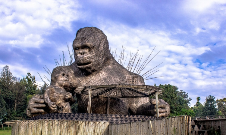 Top Attractions in Rwanda – National Parks, Wildlife & Cultural Sites