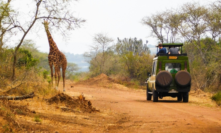 Best Time to Visit Rwanda - Weather & Climate Guide