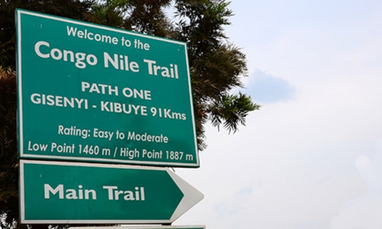Hike or Bike the Congo Nile Trail in Nyungwe National Park