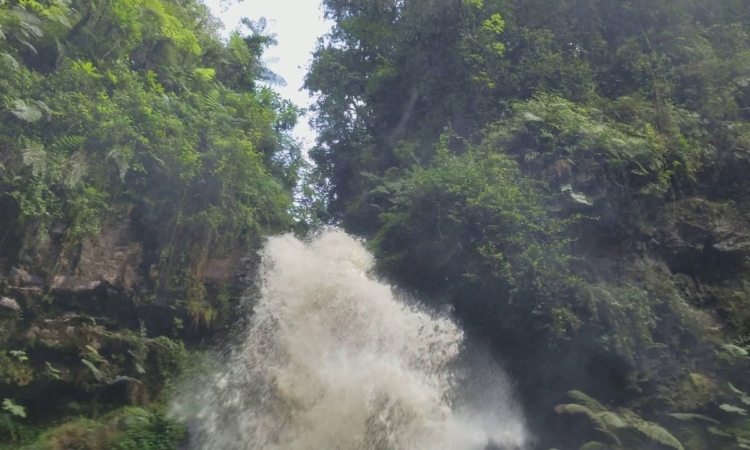Hike the Isumo Waterfall Trail in Nyungwe National Park