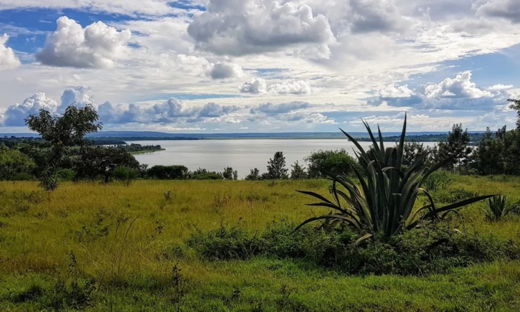 Lake Mugesera – Bird-watching, Fishing & Scenic Escapes in Eastern Rwanda
