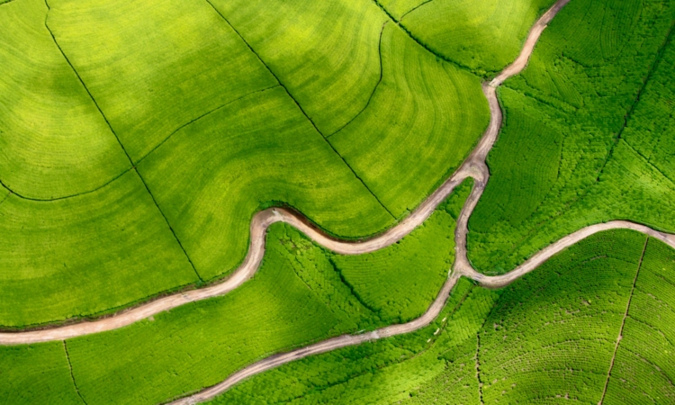 Rwanda’s Geography & Climate - Land of Hills, Volcanoes & Mild Weather