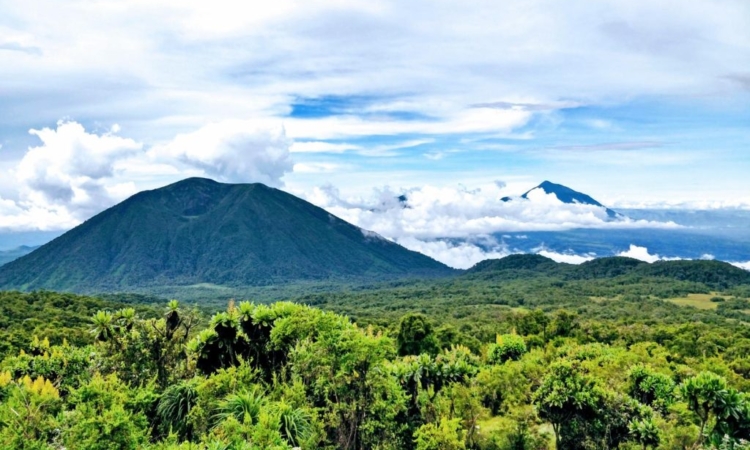 Volcano Climbing in Rwanda - Hike Bisoke, Karisimbi & Sabyinyo